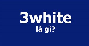 3white là gì?