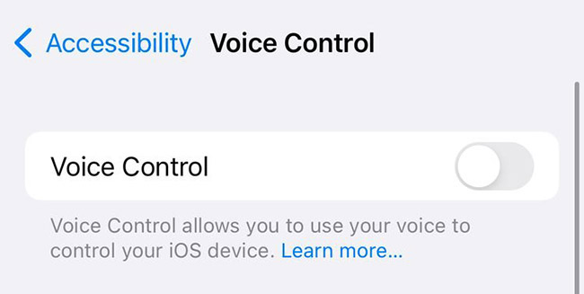 Sử dụng Voice Control thay thế