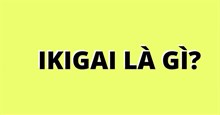 Ikigai là gì? Cách xác định Ikigai của bản thân?