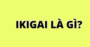 Ikigai là gì? Cách xác định Ikigai của bản thân?
