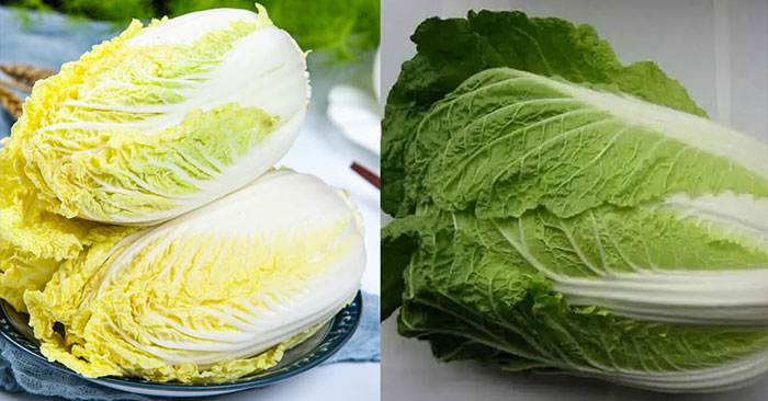 Buy cabbage, choose green or white better?