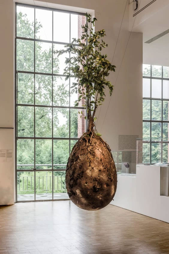 Nơi an nghỉ cuối cùng thân thiện với môi trường