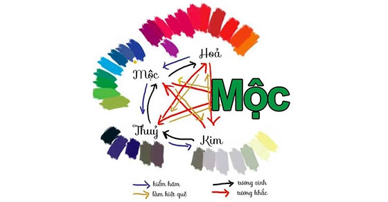 Màu sắc hợp với người mệnh Mộc
