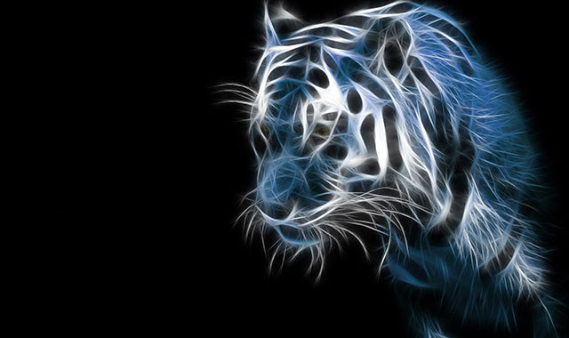 Hình nền con hổ cực đẹp cho máy tính ảnh nền hổ cho laptop QuanTriMangcom