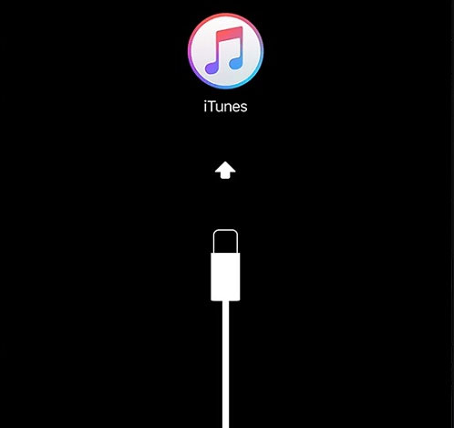 Kết nối iPhone X với iTunes 