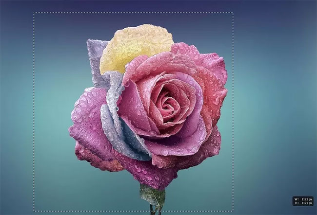 Di con trỏ qua đối tượng