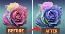 Hướng dẫn chọn và thay đổi màu sắc đối tượng trong Photoshop nhanh nhất
