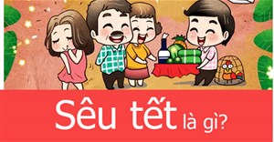 Sêu Tết là gì?