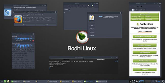 Bodhi Linux