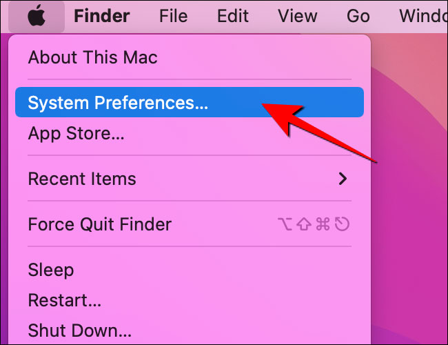 Chọn “System Preferences”