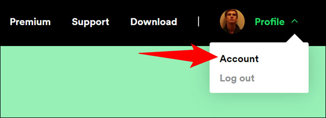 Nhấp vào Profile > Account