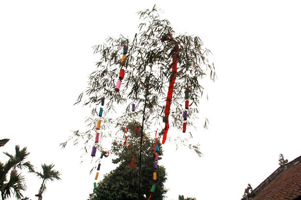 Cây nêu được dựng vào ngày nào