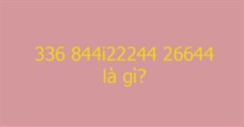 336 844i22244 26644 là gì?