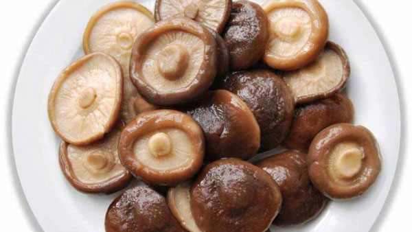 Nấm hương nở căng tròn 