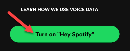Nhấn vào nút "Turn on ‘Hey Spotify’"