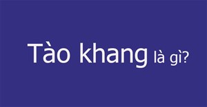 Tào khang là gì?