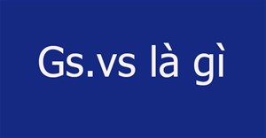 Gs.vs là gì