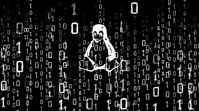 Vá ngay lỗ hổng CWP cho phép thực thi code dưới quyền root trên máy chủ Linux