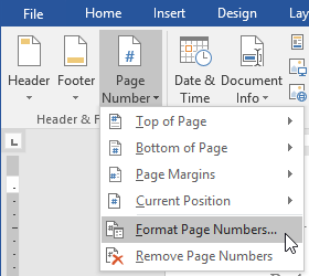 Select Format Page Numbers
