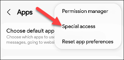 Chọn “Special Access” 