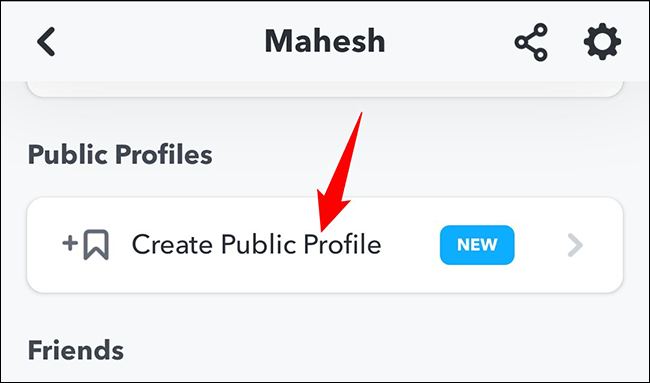 Click on “Create Public Profile”