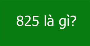 825 là gì