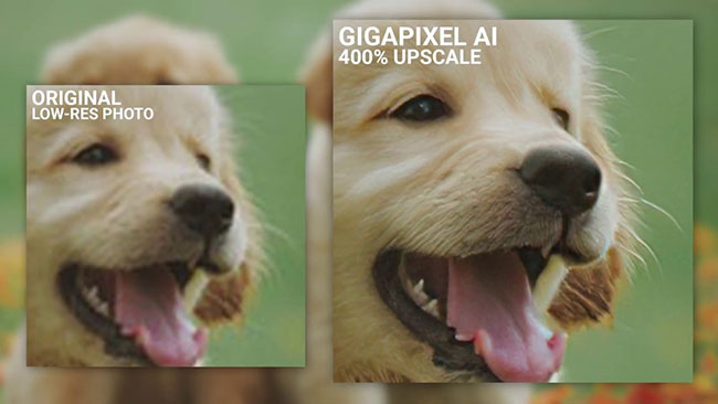 Gigapixel AI cho phép phóng to những hình ảnh độ phân giải thấp mà không làm ảnh hưởng đến chất lượng