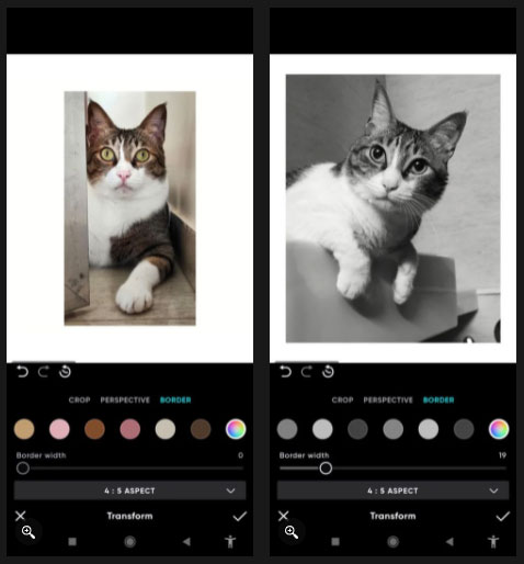 Polarr có tất cả các tính năng thông thường mà người dùng mong đợi