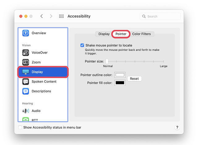 Nhấp vào tab Pointer ở trên cùng
