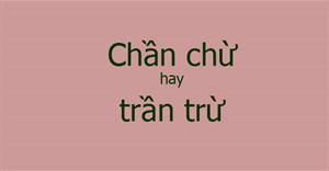 Chần chừ, trần chừ hay trần trừ đúng chính tả?