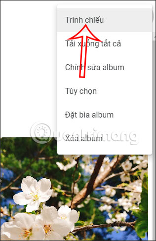 Trình chiếu album Google Photos PC