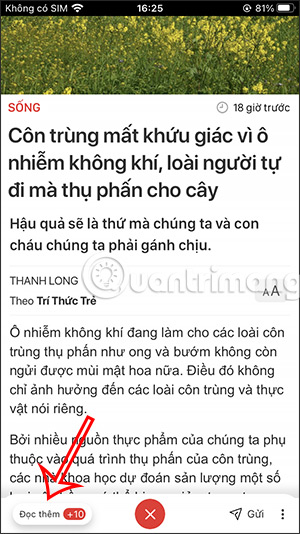 Mở bài liên quan