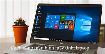 Các cách chụp ảnh màn hình máy tính trên Windows, macOS và Linux