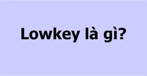 Lowkey nghĩa là gì? Lowkey boy nghĩa là gì? Bạn có thích một người lowkey?