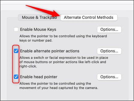 Tick chọn Enable Alternate Pointer Actions và Enable Head Pointer.