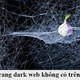 Những trang web đen siêu hay không thể tìm thấy trên Google