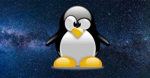 Tại sao Linux lại lấy logo hình chim cánh cụt?
