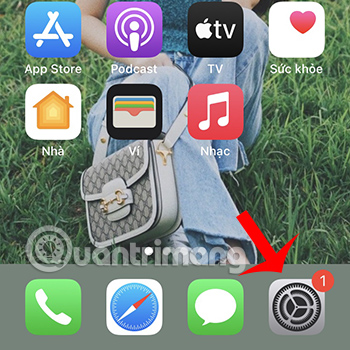 Chọn Cài đặt ở màn hình giao diện iPhone
