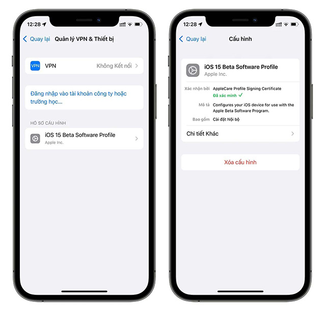 Chọn Manage VPN & Devices và xóa cấu hình iOS Beta