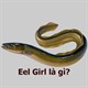 Eel Girl là gì? Tại sao Eel Girl lại đáng sợ?