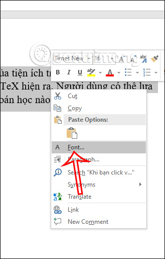 Choose Font in Word