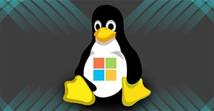 Linux có thể chạy các file Windows EXE không?