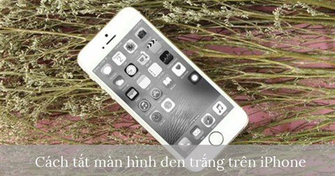 Cách sửa màn hình đen trắng trên iPhone
