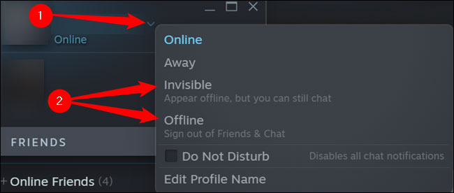 Chọn “Invisible” hoặc “Offline”