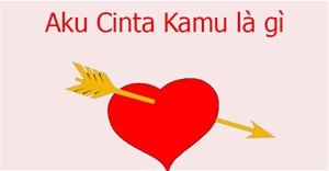 Aku Cinta Kamu là gì?