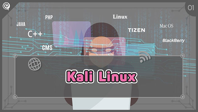Kali Linux hoạt động hoàn hảo với các thành phần cấp thấp