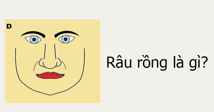 Râu rồng là gì? - QuanTriMang.com