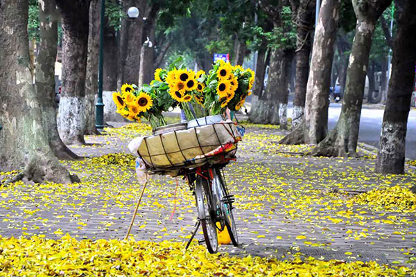 Thu Hà Nội 