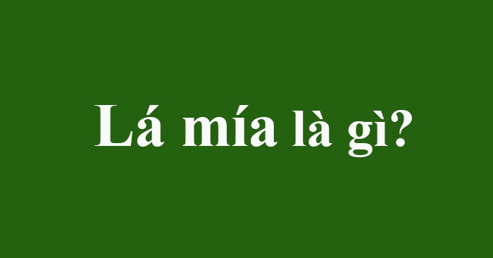 Lá mía là gì