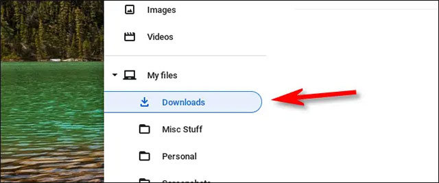 Nhấp vào mục “Downloads”